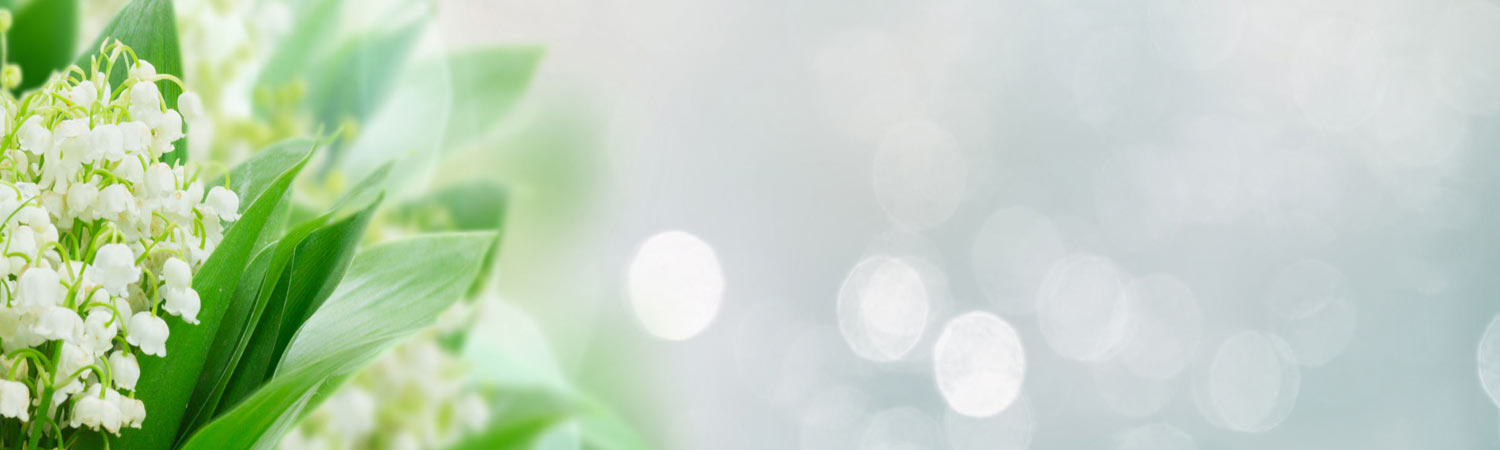 Gwilliams Header 06